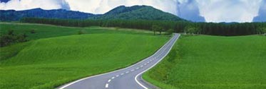Ruta